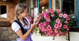 Buy Dirndl online